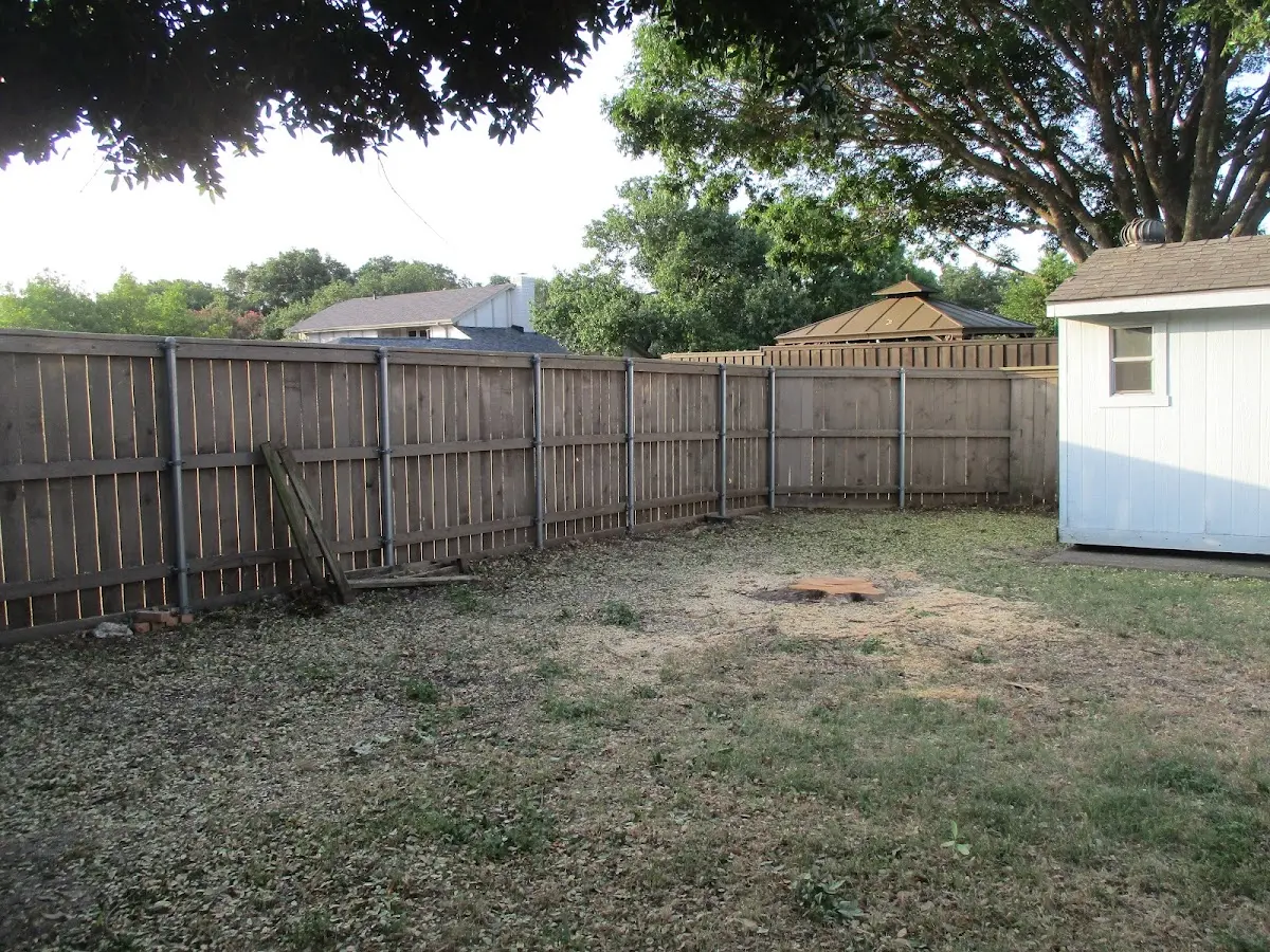 Cleared yard after professional tree removal in Flanagan